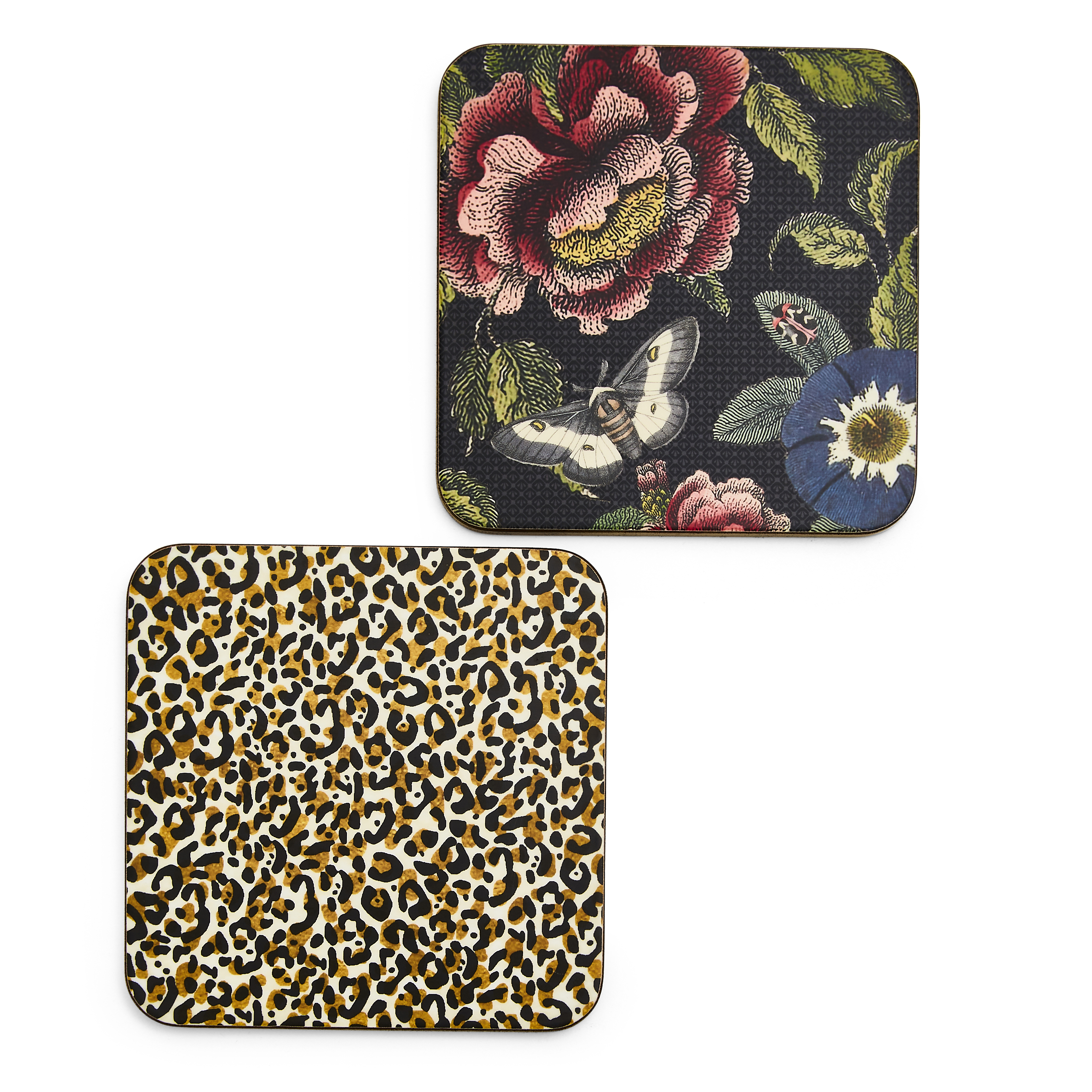 Creatures of Curiosity Set of 4 Coasters image number null